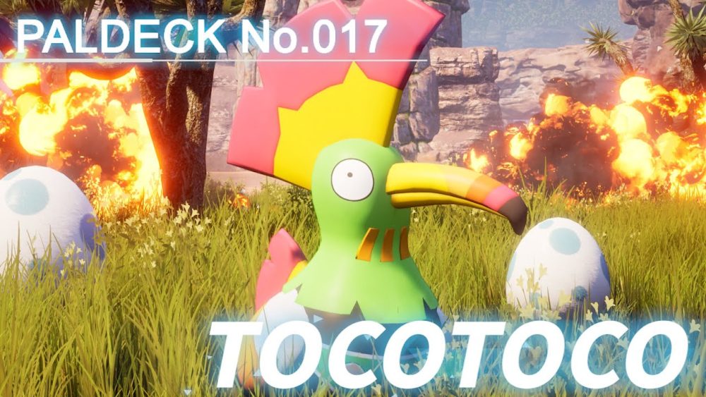 TOCOTOCO