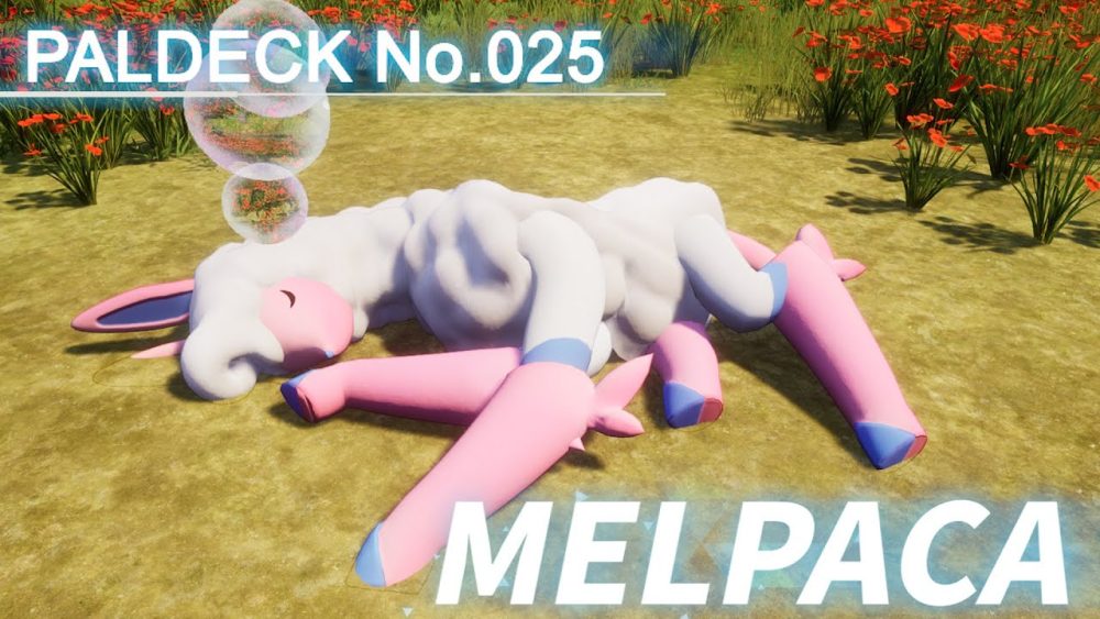 MELPACA