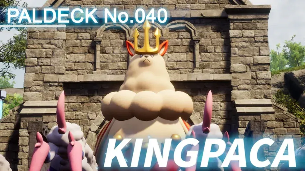 KINGPACA